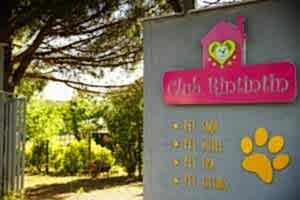 37e8323f-889c-45cc-b201-0eef72f95738 2